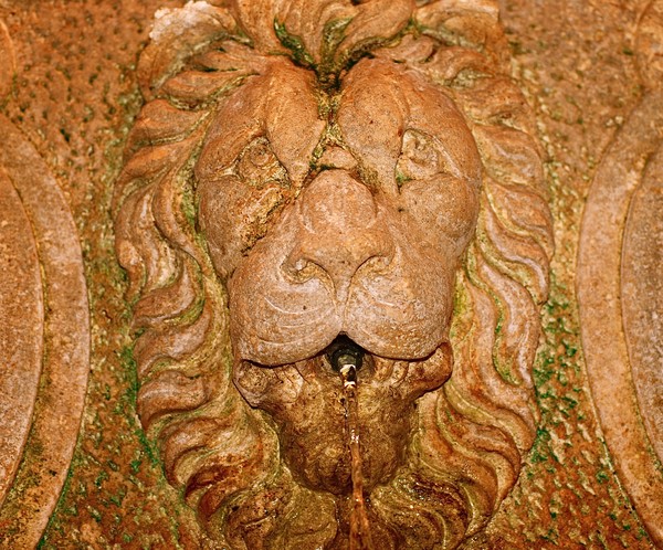 Lion's Wishing Well