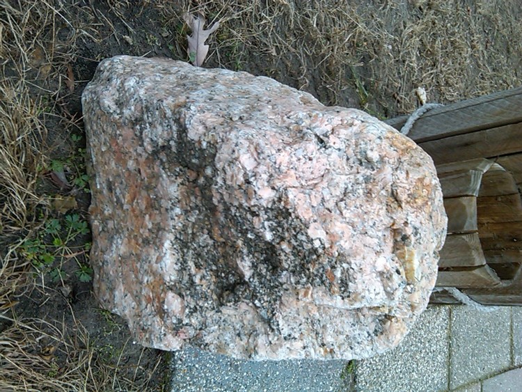 IMG01360-20101121-1333