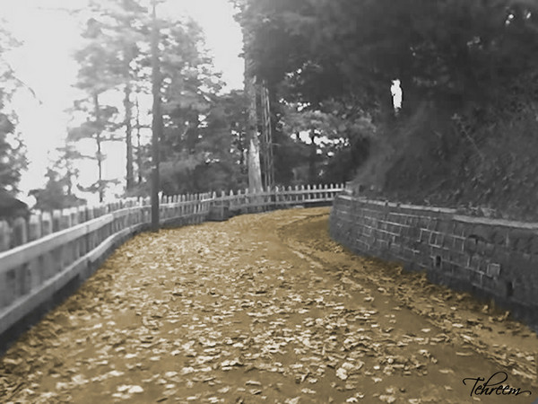 Upon the Fallen Leaves