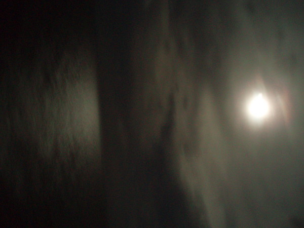 Caribbean Moon