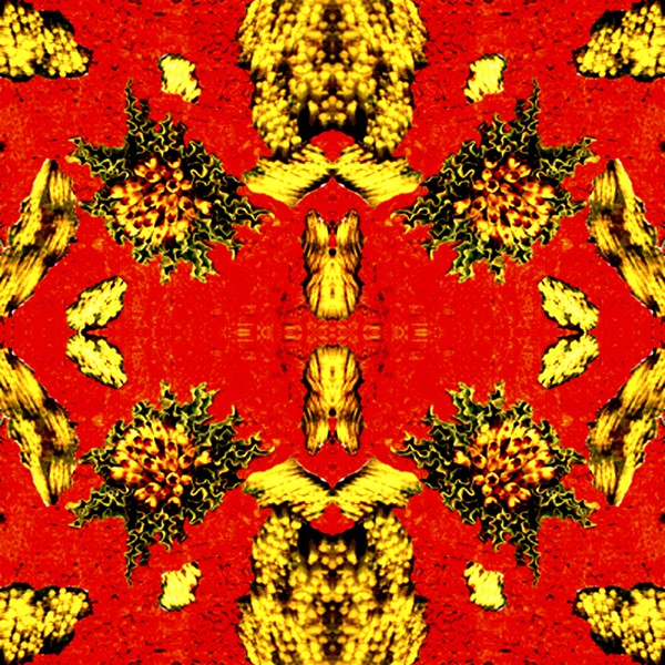Tropic