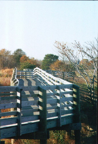 forever bridge