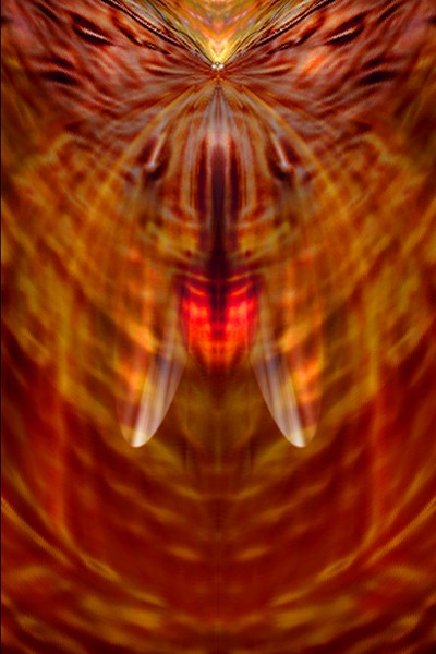 firefly...