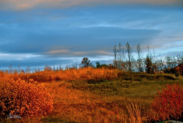 October earth and sky !