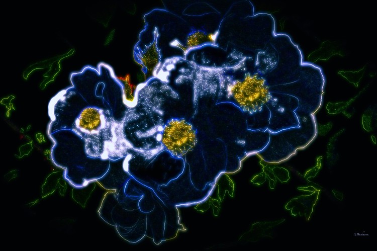 Blue Blues  Play.