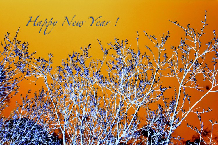 New Year 2019....