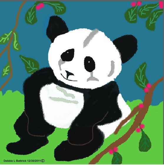 Panda Bear