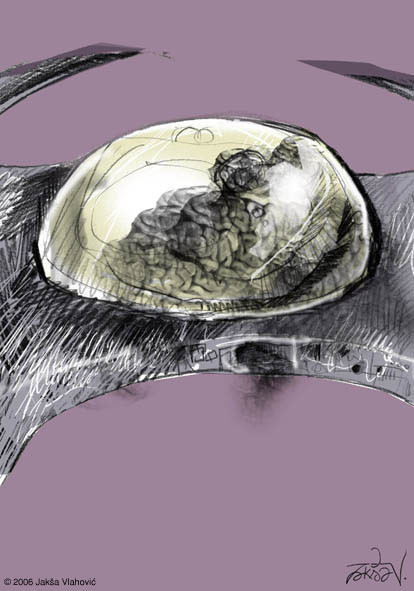 Brain spaceship