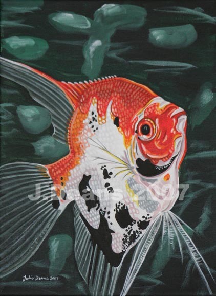 Angelfish