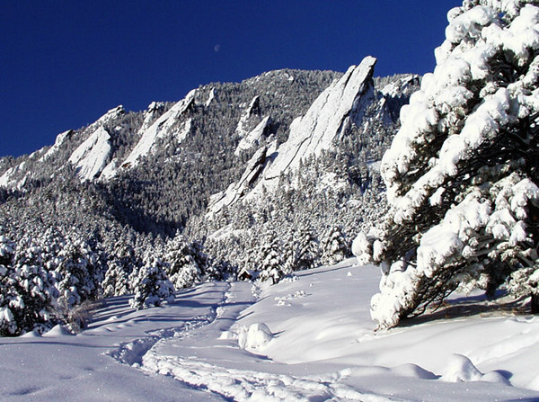 First Tracks