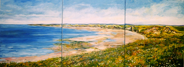 Ireland Seashore