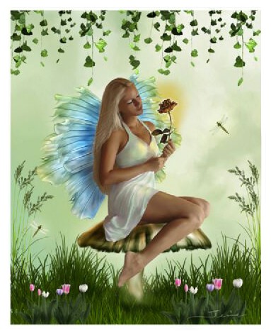 Garden Faery