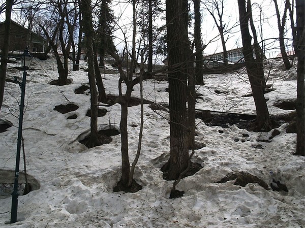 Surviving Below Zero