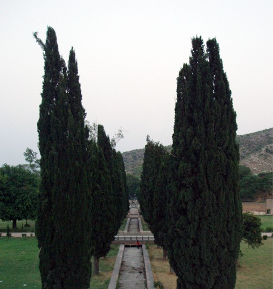 Mughal Gardens