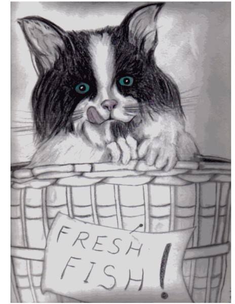 FRESH FISH!!