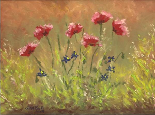 Poppy Patch