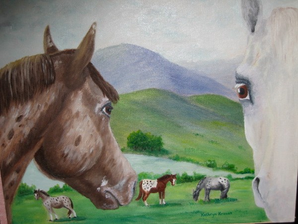 Appaloosa Freedom