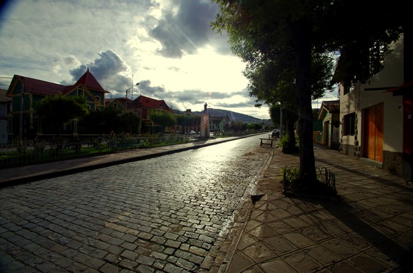 IMGP2147