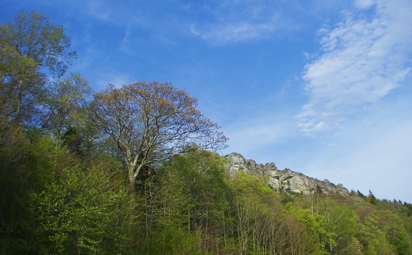 ...rocks and trees...