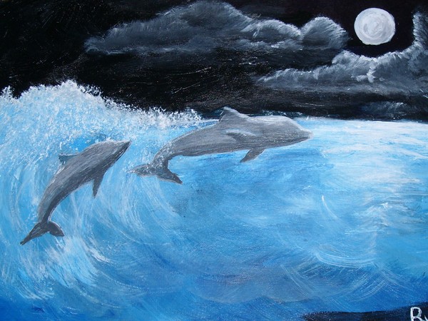Dolphins Dancing under Moonlight