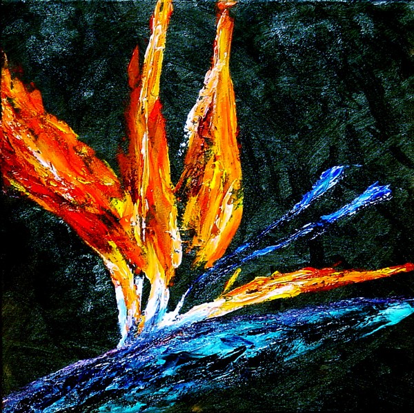 Bird Of Paradise Flower