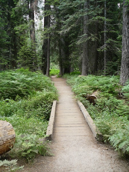 The Pathway of Natural Things