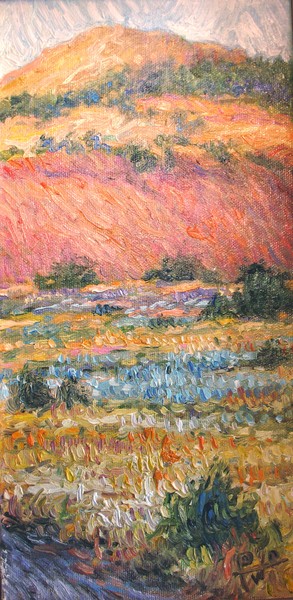Mountain Meadow