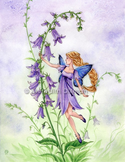 Creeping Bellflower