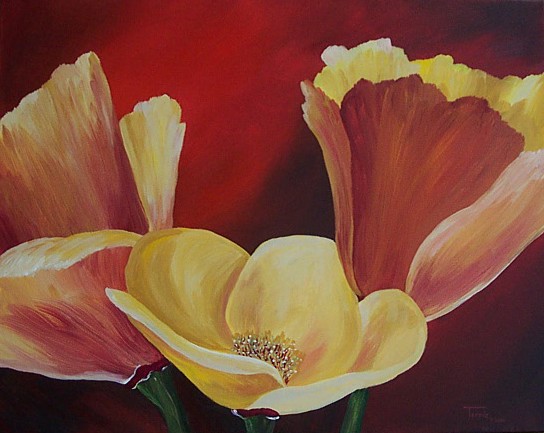 California Poppies II