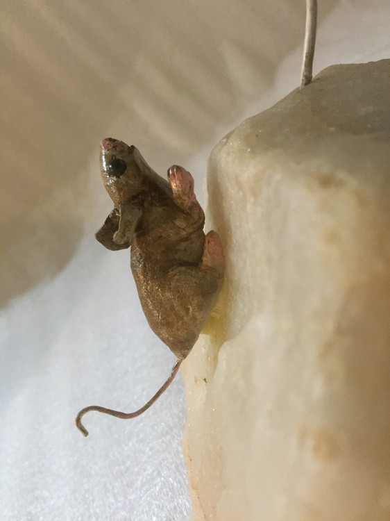 Fox & Mouse (Mouse)