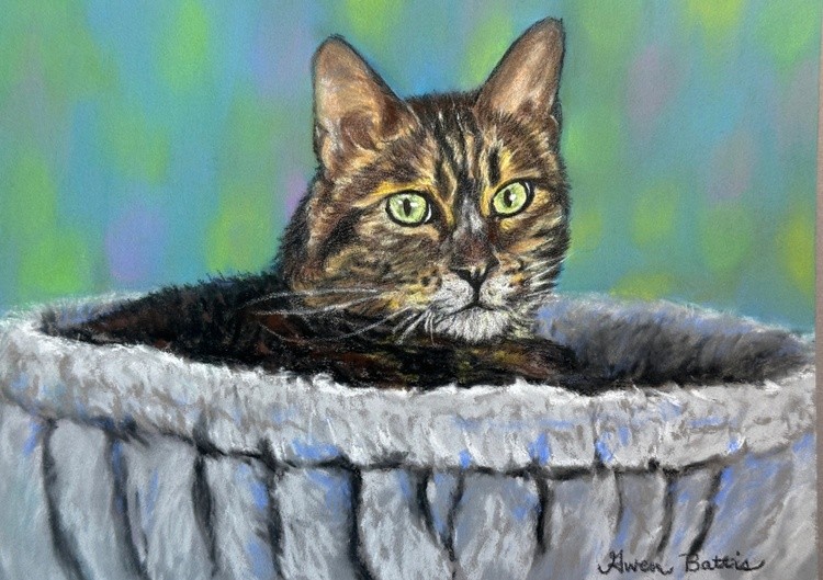 Fiona Cat