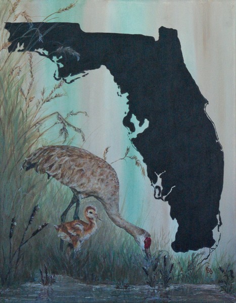 The Florida Everglades