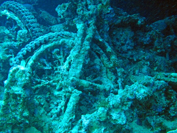 Egypt Thistlegorm 4648