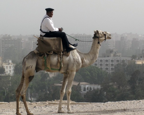 Egyptian Police 