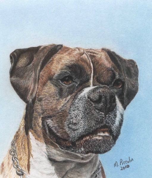 Tyson in Color