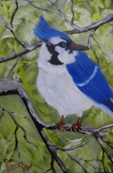 Northern Blue Jay on a Winters Day