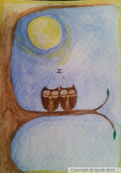 2 Owls
