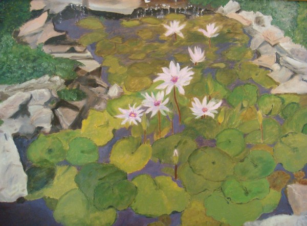Les Nenuphars sur l' Etang