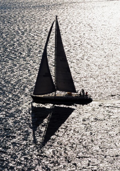 Newport Reflections