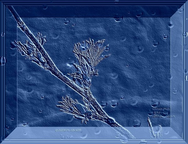 COMPUTER ART2009