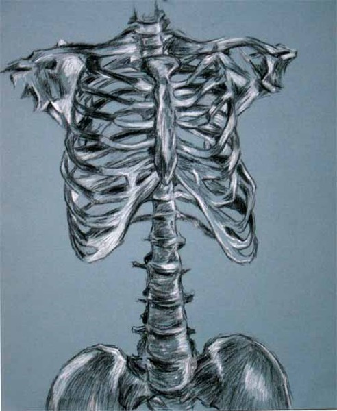 Skeleton