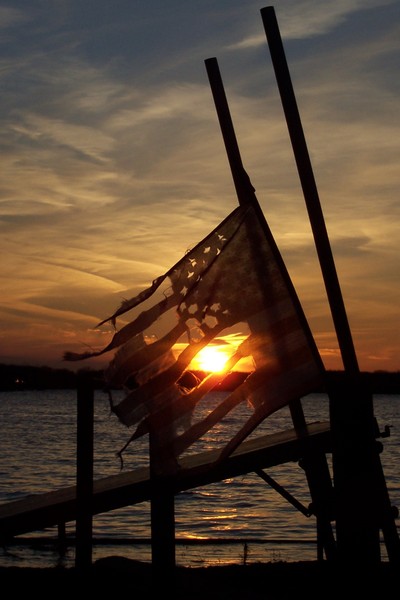 Freedom