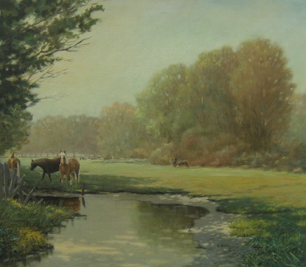 Horses on the fields