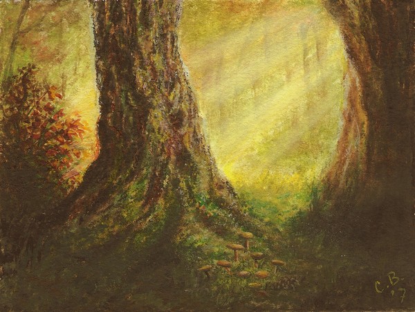 1 out of 12  'Dutch Forest'
