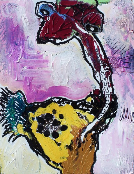 Ostrich
