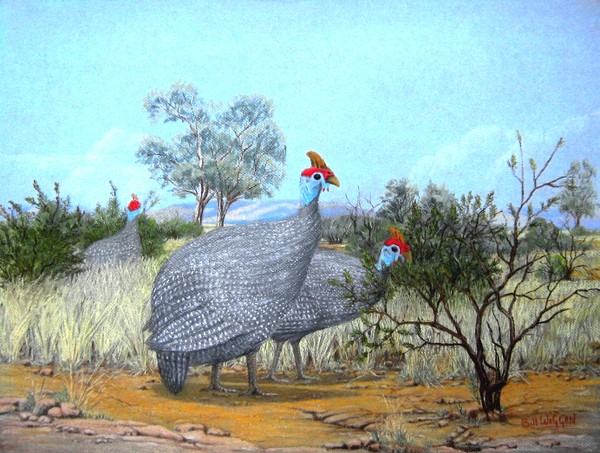 Pastel - Guinea Fowl 