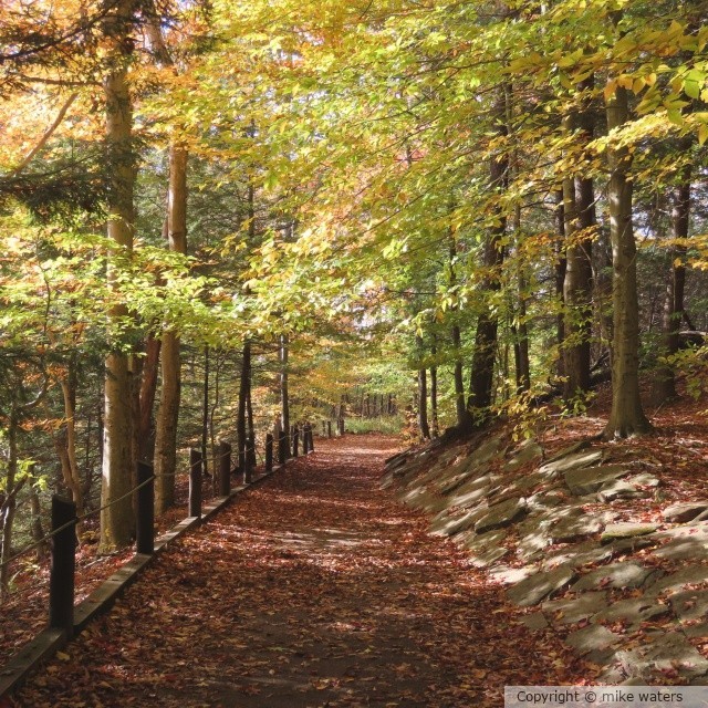 nature trail