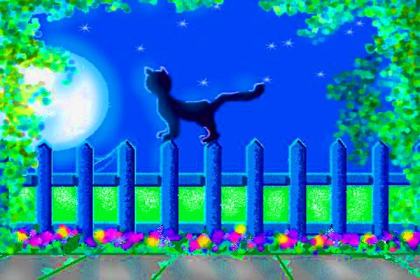 Night Cat