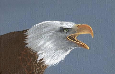 Born on Eagle's Wings