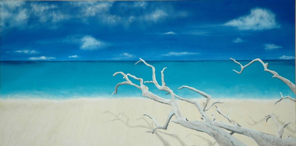 Driftwood - SOLD